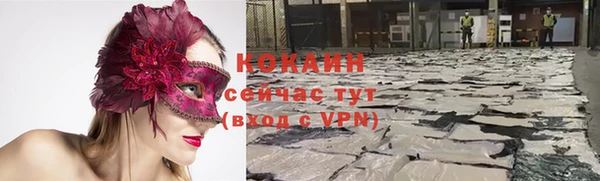 твердый Арсеньев