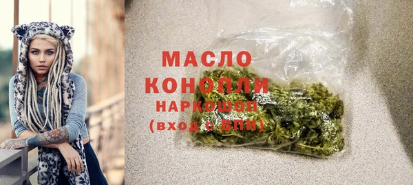 твердый Арсеньев