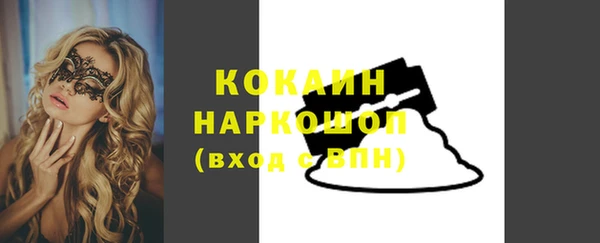 твердый Арсеньев