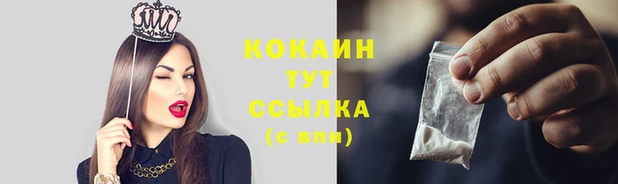 прущие крисы Аркадак