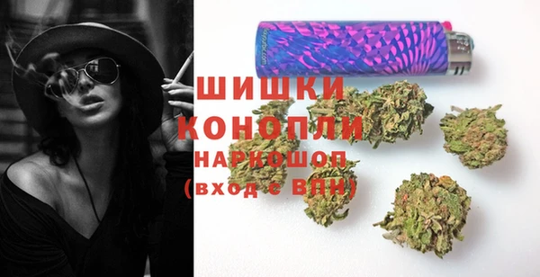 твердый Арсеньев