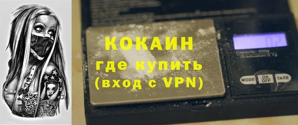 твердый Арсеньев