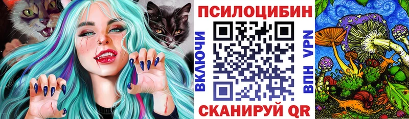 Галлюциногенные грибы Psilocybe  Армянск 